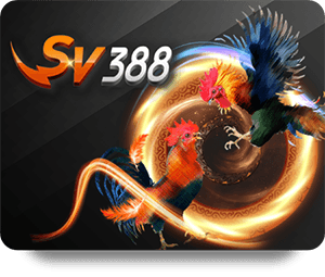 BK8 Casino Đẳng Cấp: Nơi Giải Trí Đỉnh Cao Mọi Người Đều Yêu Thích